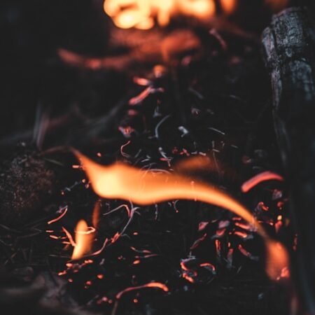 Stay Safe in the Wild: Top Survival Skills Every Camper Should Know