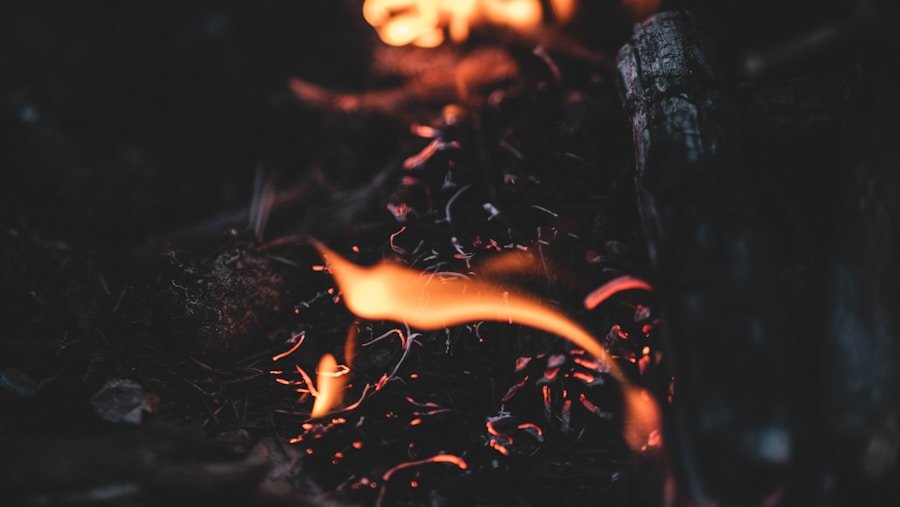 Stay Safe in the Wild: Top Survival Skills Every Camper Should Know