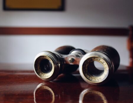 Discover the Beauty of Birdwatching While Camping with Binoculars